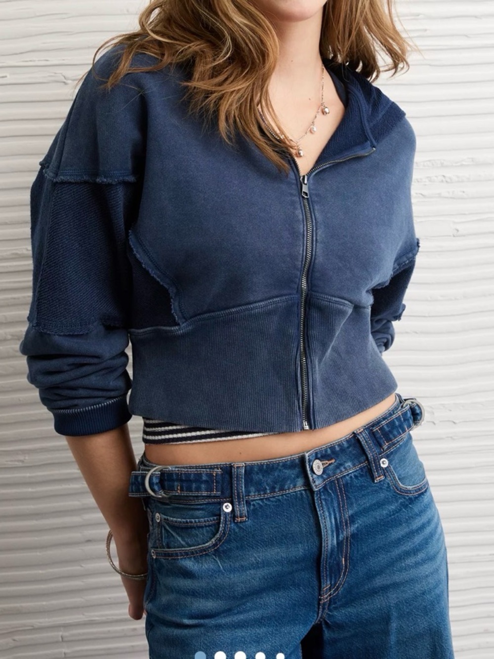 AE Cropped Zip-Up Sweatshirt